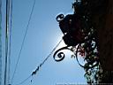 Dsc11607.jpg