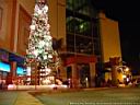 Dsc11889.jpg