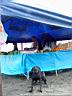 Dsc12046.jpg